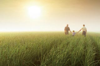 کیڑے مار دوا لگانے والے کی تصویر