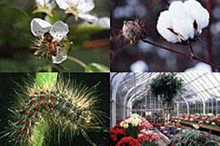 پلانٹ اور صنعت کی خدمات