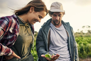 نئے اور ابتدائی کسان